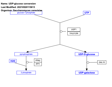 UDP-glucose conversion