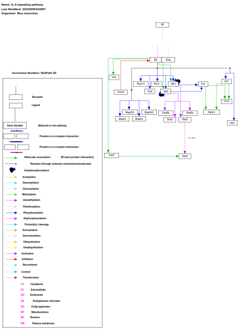 IL-9 signaling pathway