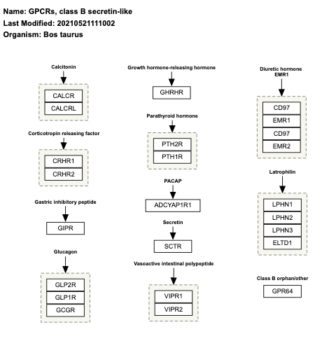 GPCRs, class B secretin-like