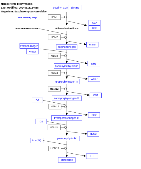 Heme biosynthesis