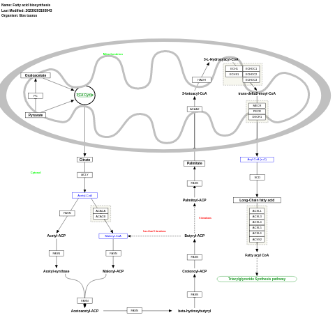 Fatty acid biosynthesis