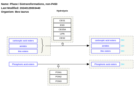 Phase I biotransformations, non-P450