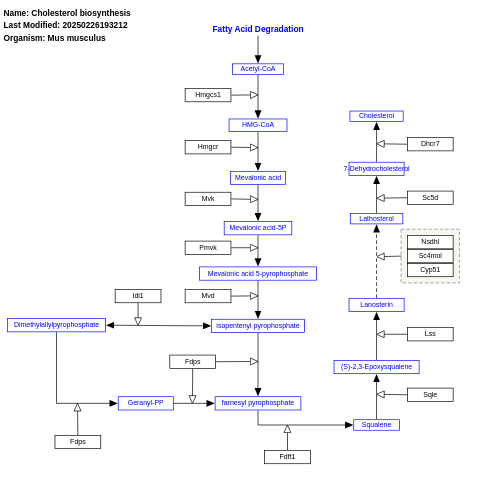 Cholesterol biosynthesis