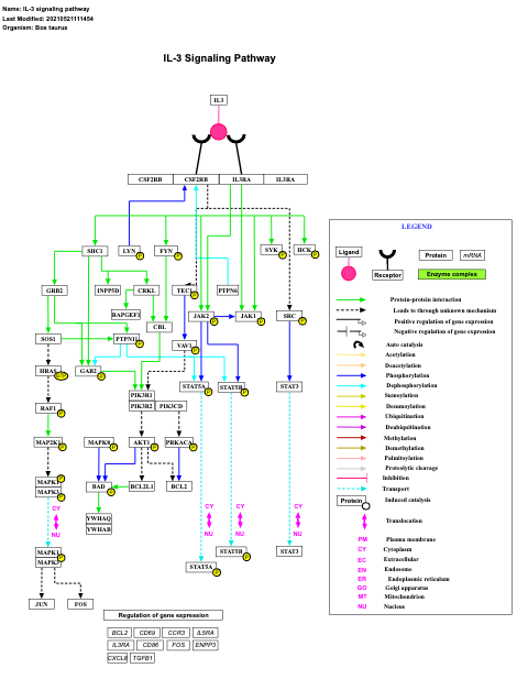 IL-3 signaling pathway