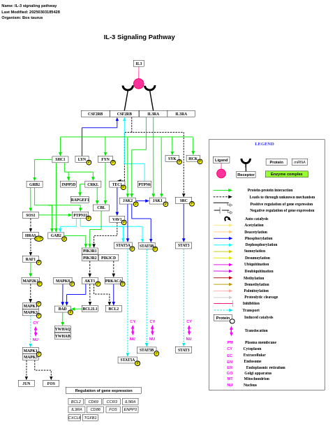 IL-3 signaling pathway