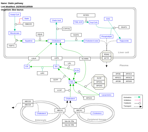 Statin pathway