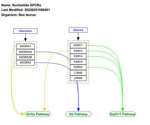Nucleotide GPCRs