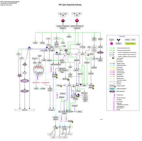 TNF-alpha signaling pathway