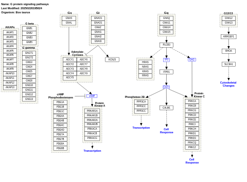 G protein signaling pathways