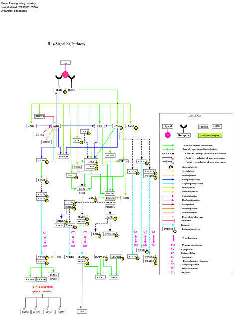 IL-4 signaling pathway