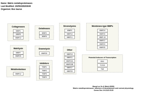 Matrix metalloproteinases