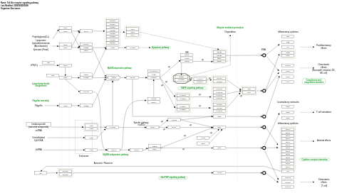 Toll-like receptor signaling pathway