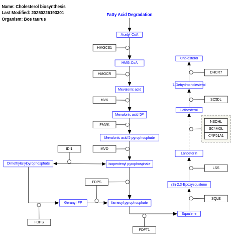 Cholesterol biosynthesis