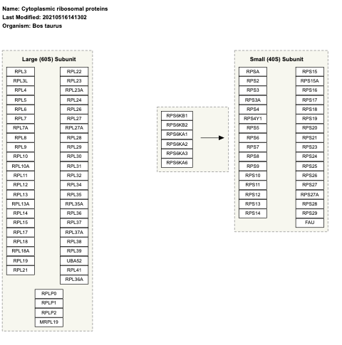 Cytoplasmic ribosomal proteins