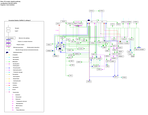 Kit receptor signaling pathway