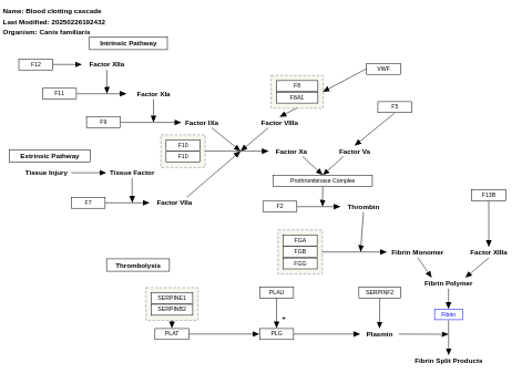 Blood clotting cascade