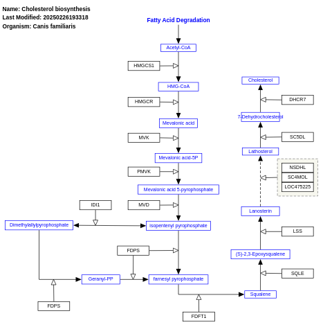 Cholesterol biosynthesis