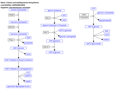 Colanic acid building blocks biosynthesis