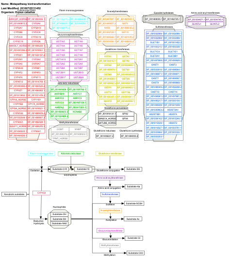 Metapathway biotransformation