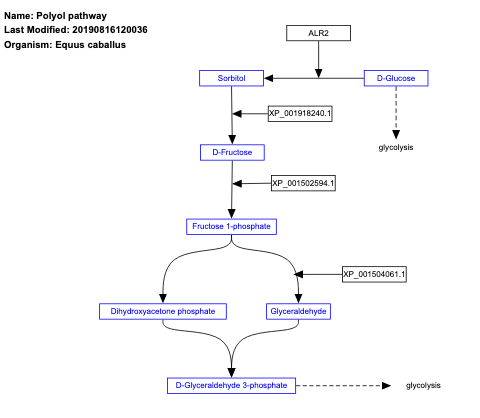 Polyol pathway