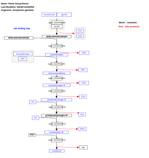 Heme biosynthesis