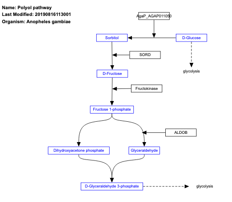 Polyol pathway