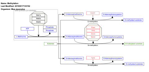 Methylation