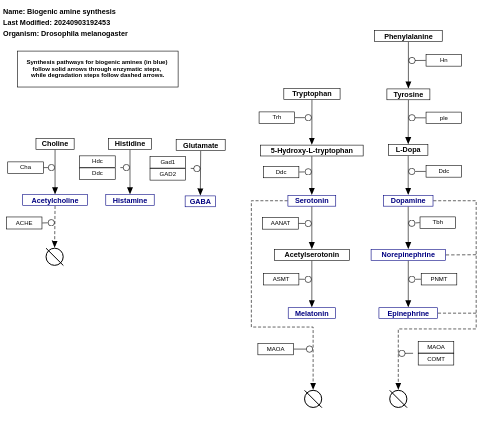 Biogenic amine synthesis