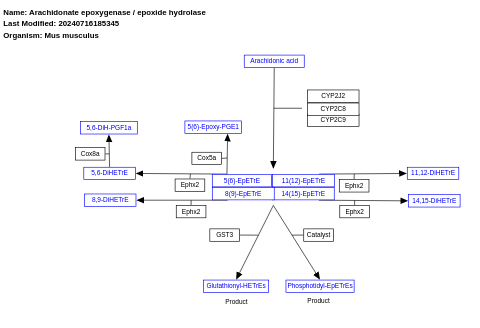 Arachidonate epoxygenase / epoxide hydrolase