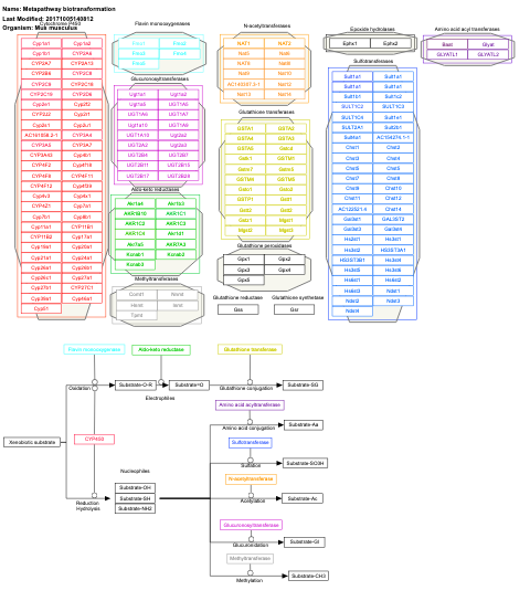 Metapathway biotransformation