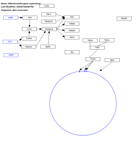 Mitochondrial gene expression