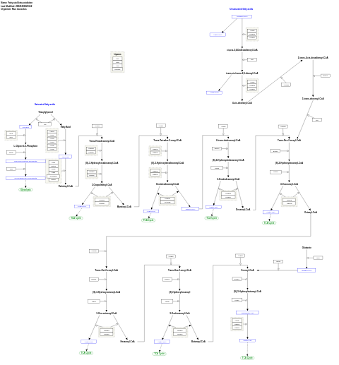 Fatty acid beta-oxidation