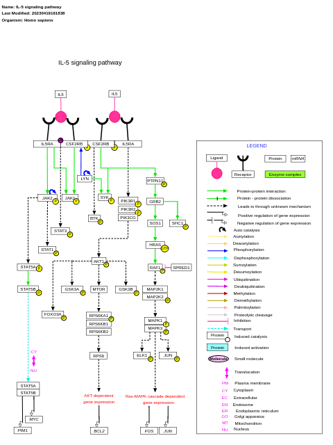 IL-5 signaling pathway