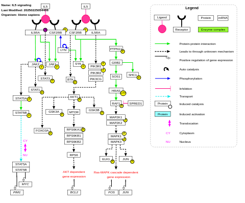 IL-5 signaling pathway