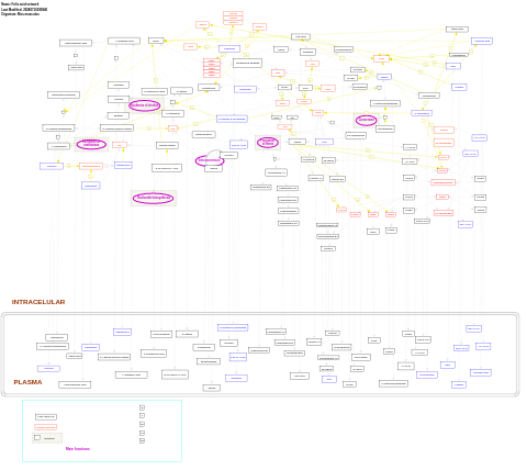 Folic acid network