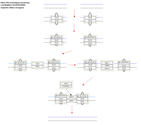 Non-homologous end joining