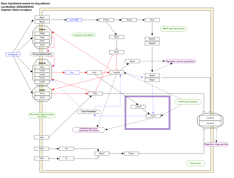 Hypothetical network for drug addiction