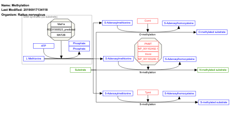 Methylation