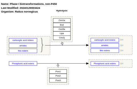 Phase I biotransformations, non-P450