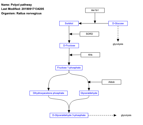 Polyol pathway