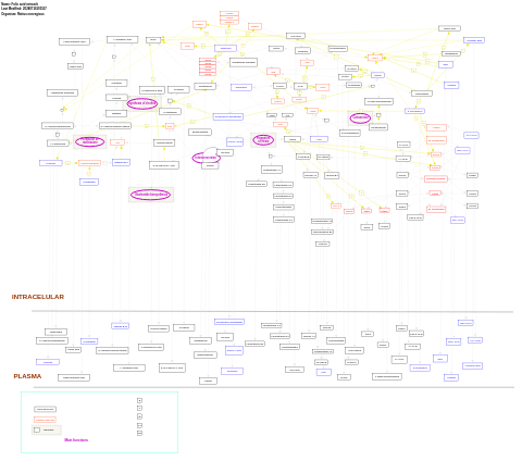 Folic acid network