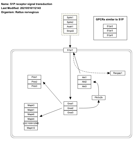 S1P receptor signal transduction