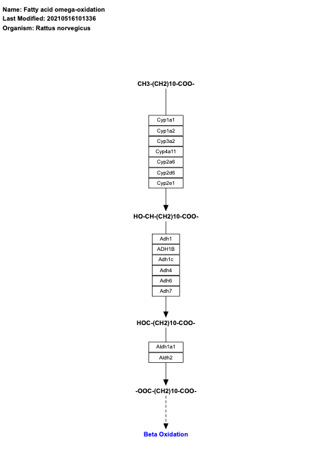 Fatty acid omega-oxidation