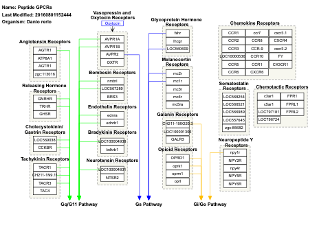 Peptide GPCRs