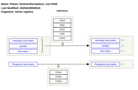 Phase I biotransformations, non-P450