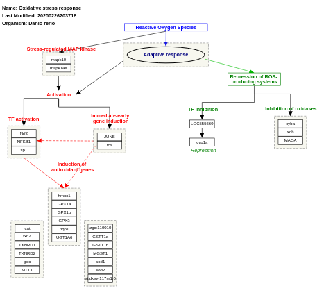 Oxidative stress response