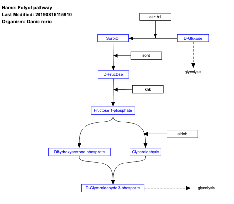 Polyol pathway