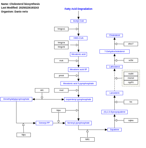 Cholesterol biosynthesis