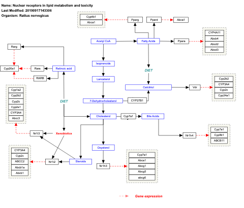 Nuclear receptors in lipid metabolism and toxicity