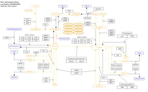 Sphingolipid pathway